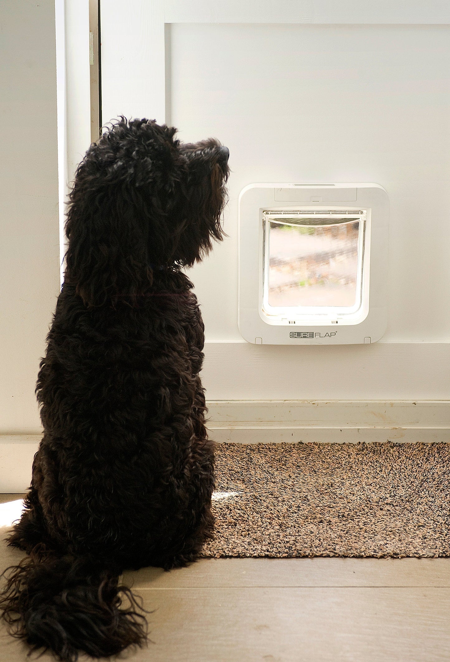 SureFlap Microchip Pet Door Brown