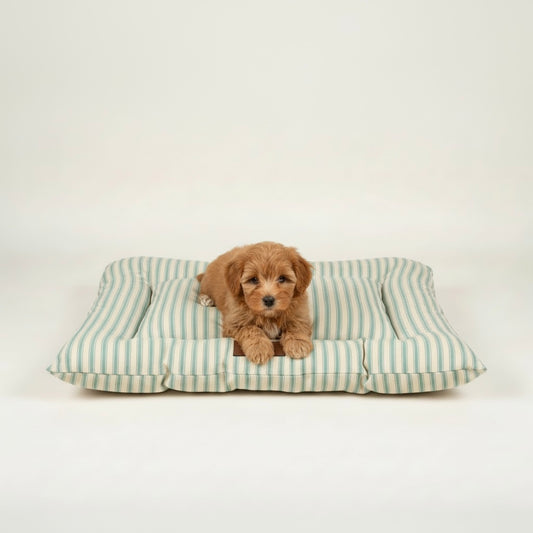 TAIN PET SUPPLIES Luxury Pet Cushion Bed Mint Stripe