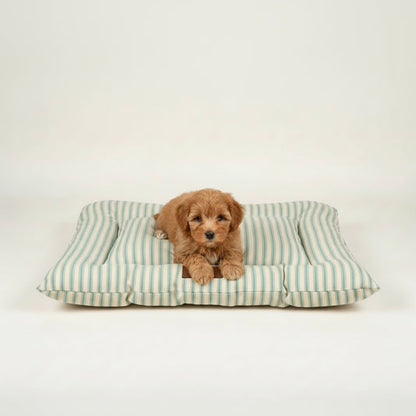 TAIN PET SUPPLIES Luxury Pet Cushion Bed Mint Stripe