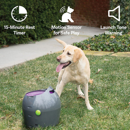 PetSafe Automatic Dog Ball Launcher