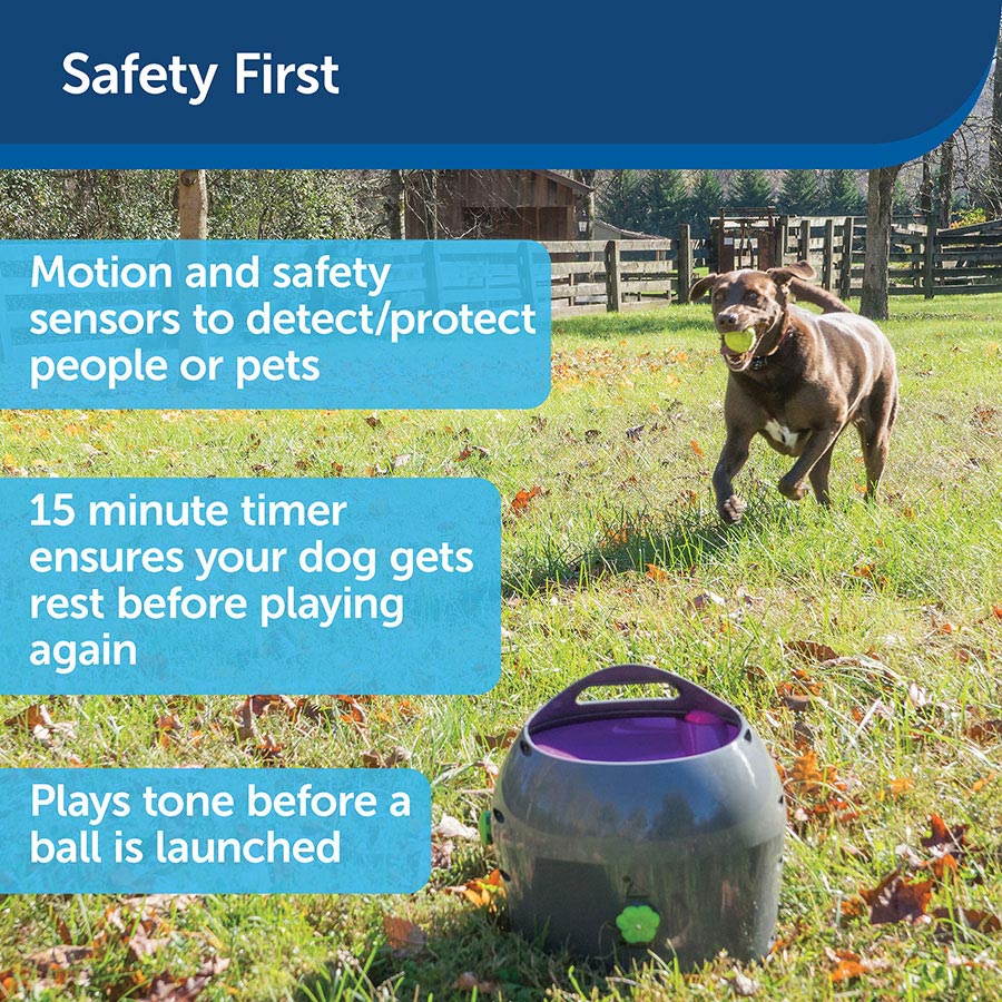PetSafe Automatic Dog Ball Launcher