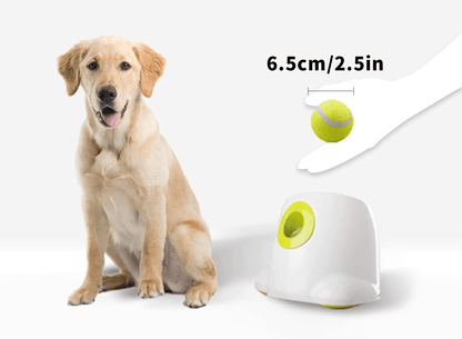 Automatic Dog Ball Launcher Interactive Thrower