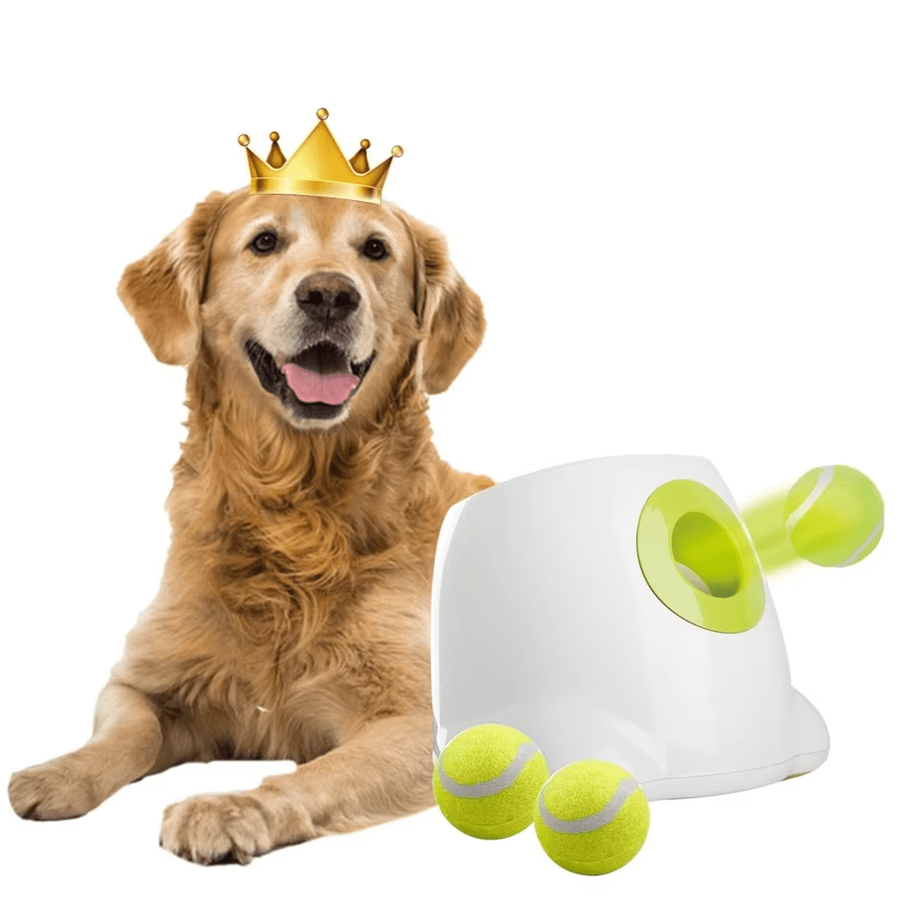 Automatic Dog Ball Launcher Interactive Thrower