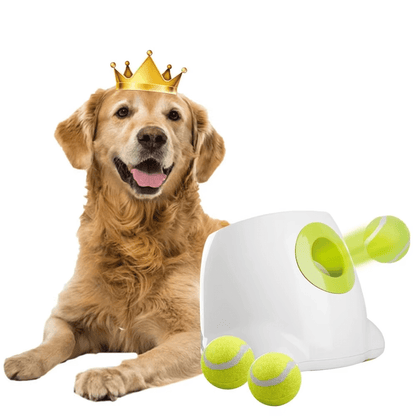 Automatic Dog Ball Launcher Interactive Thrower